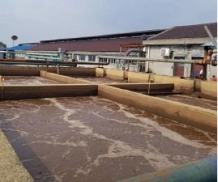 出水氨氮大于進水氨氮，怎么回事？